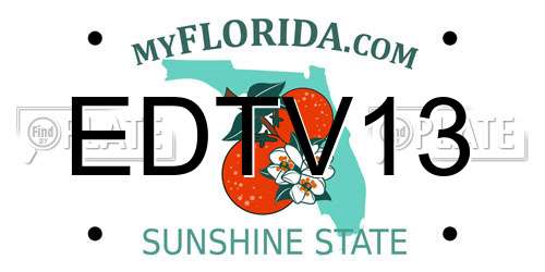 EDTV13 Florida License Plate