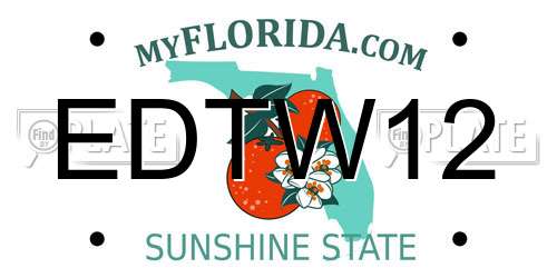 EDTW12 Florida License Plate