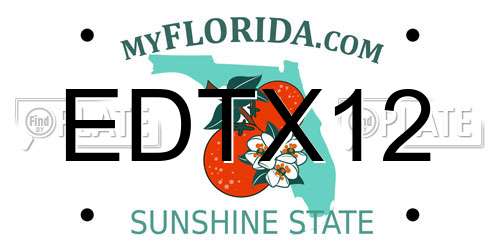 EDTX12 Florida License Plate
