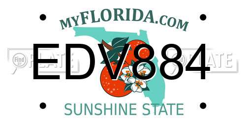 EDV884 Florida License Plate