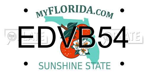 EDVB54 Florida License Plate
