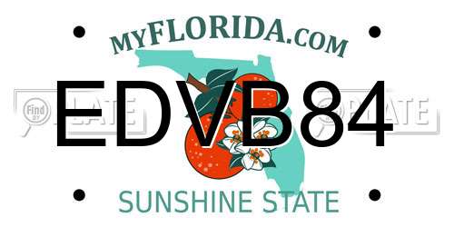 EDVB84 Florida License Plate