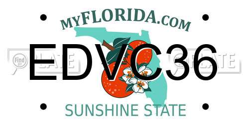 EDVC36 Florida License Plate