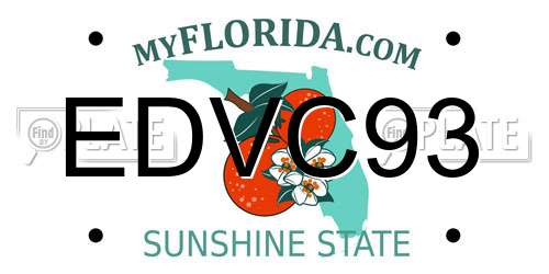 EDVC93 Florida License Plate