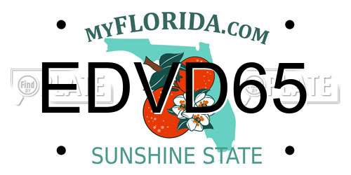 EDVD65 Florida License Plate