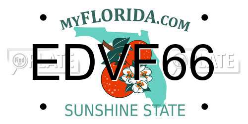 EDVF66 Florida License Plate