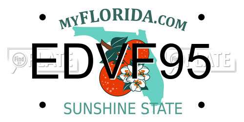 EDVF95 Florida License Plate