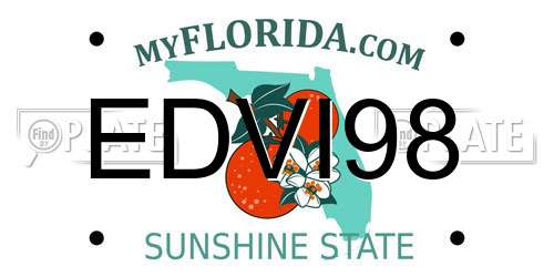 EDVI98 Florida License Plate