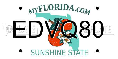 EDVQ80 Florida License Plate