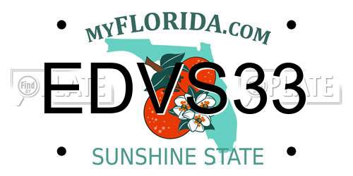 EDVS33 Florida License Plate