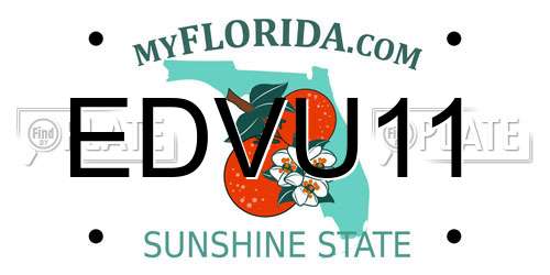 EDVU11 Florida License Plate