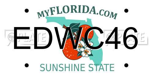 EDWC46 Florida License Plate