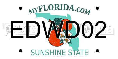 EDWD02 Florida License Plate