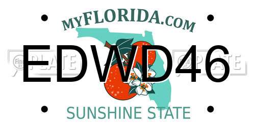 EDWD46 Florida License Plate