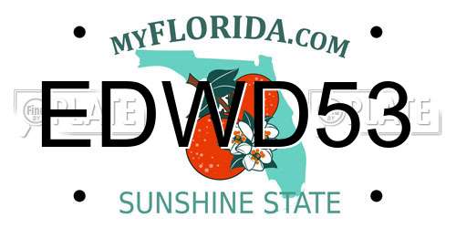 EDWD53 Florida License Plate