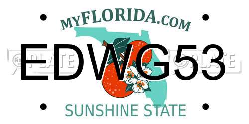 EDWG53 Florida License Plate