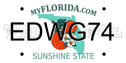EDWG74 Florida License Plate