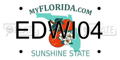 EDWI04 Florida License Plate