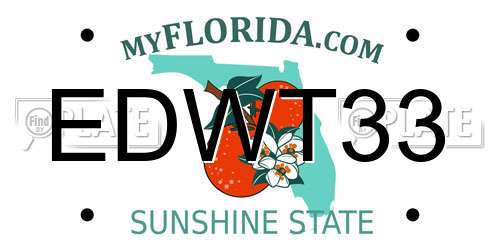 EDWT33 Florida License Plate