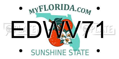 EDWV71 Florida License Plate