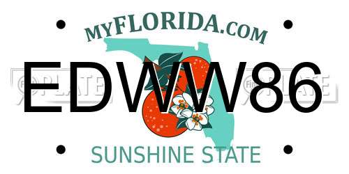 EDWW86 Florida License Plate
