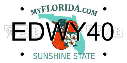 EDWY40 Florida License Plate