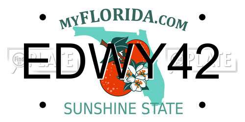 EDWY42 Florida License Plate