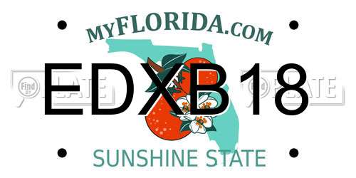 EDXB18 Florida License Plate