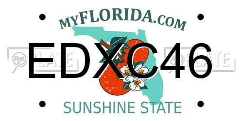 EDXC46 Florida License Plate