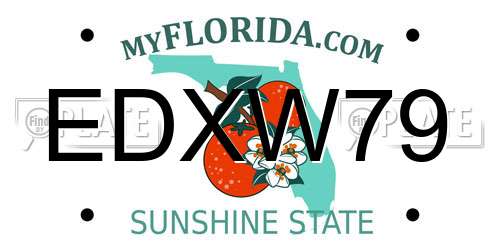 EDXW79 Florida License Plate