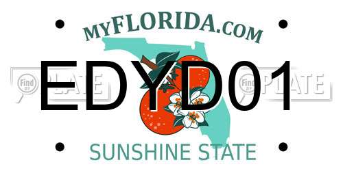 EDYD01 Florida License Plate