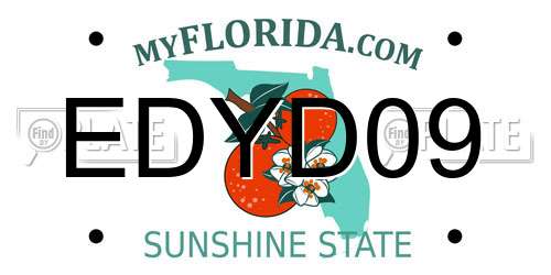 EDYD09 Florida License Plate
