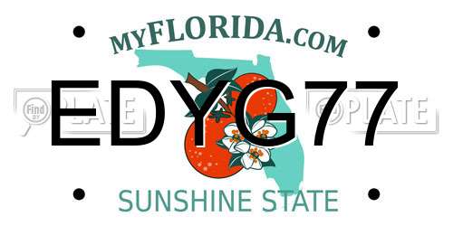 EDYG77 Florida License Plate