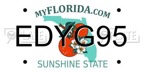EDYG95 Florida License Plate