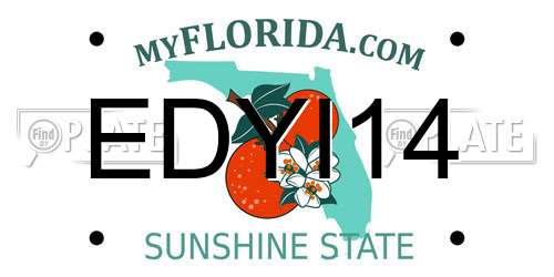 EDYI14 Florida License Plate
