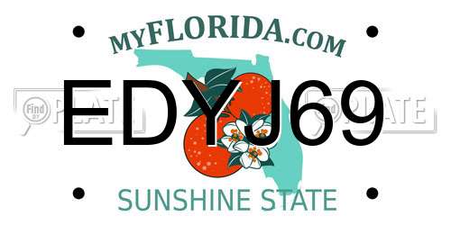 EDYJ69 Florida License Plate