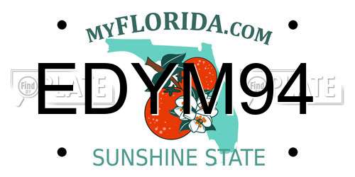 EDYM94 Florida License Plate