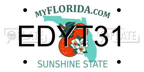 EDYT31 Florida License Plate