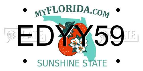EDYY59 Florida License Plate