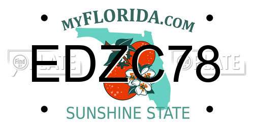 EDZC78 Florida License Plate