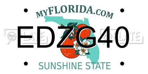 EDZG40 Florida License Plate