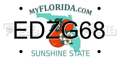 EDZG68 Florida License Plate