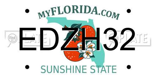 EDZH32 Florida License Plate