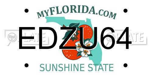 EDZU64 Florida License Plate