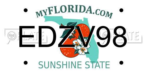 EDZV98 Florida License Plate