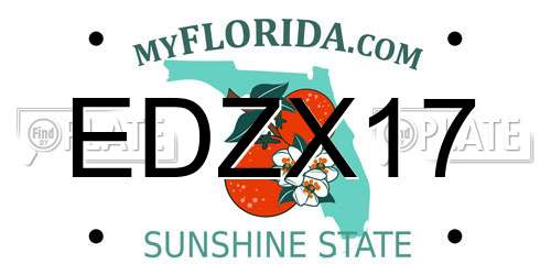 EDZX17 Florida License Plate