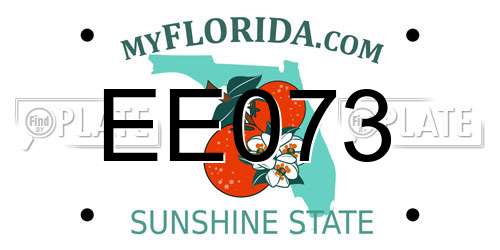 EE073 Florida License Plate