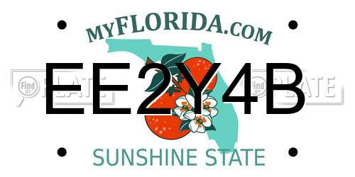 EE2Y4B Florida License Plate