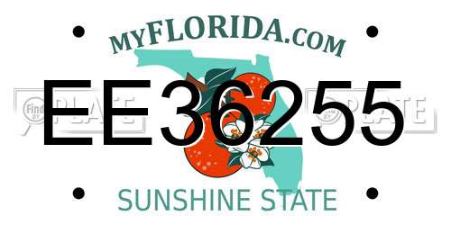 EE36255 Florida License Plate