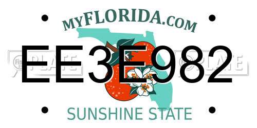 EE3E982 Florida License Plate
